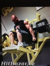 Nakládací fitness stroje typu hammer