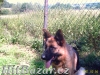 fenky NO s PP - 5