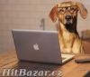 VÝHODNÉ ONLINE POJIŠTĚNÍ - uzavřete si ho sami !!! Rychle a levně !!! - 5