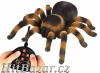 Pavouk Tarantule na dálkové ovládání