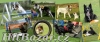 Horse and Home - jezdecký sortiment pro koně a psi - 2