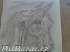 kreslení obrázků dle předlohy na zakázku - 6