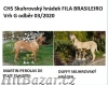 Brazilská Fila, štěňata s PP - 4
