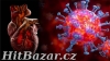 SPOLUPRÁCE PŘI PRODEJI COVID-TESTŮ - 2