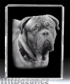 Dárek foto laser 3D, 2D, crystal, křišťál, sklo. - 7