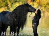 Horse and Home - jezdecký sortiment pro koně a psi - 3