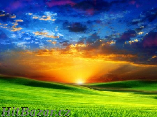 Chceš JEN SNÍT nebo si i SNY SPLNIT?