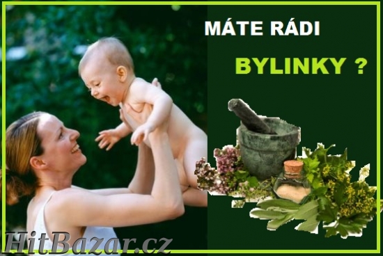 Dáváte PŘEDNOST BYLINKÁM před chemií ?