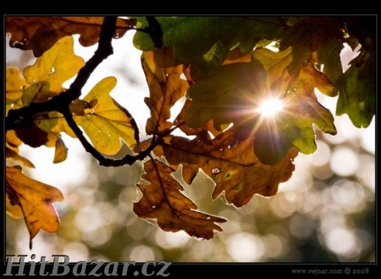 Nabídka práce pro zdrav.sestry a pečovatelky