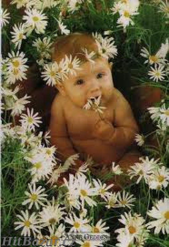 Poradce zdravotní prevence