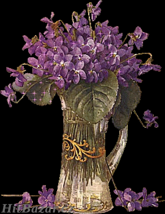 práce bez rozdílu věku