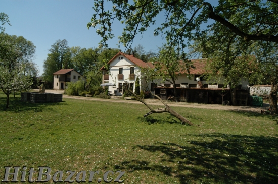 Práce u koní – Ošetřovatel, zemědělský dělník, jezdec