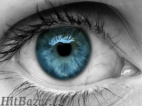 Skvělá šance pro aktivní!