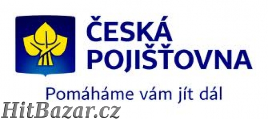 Konzultant klientského portfolia
