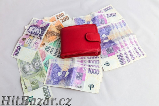 Poskytnu rychlou soukromou půjčku