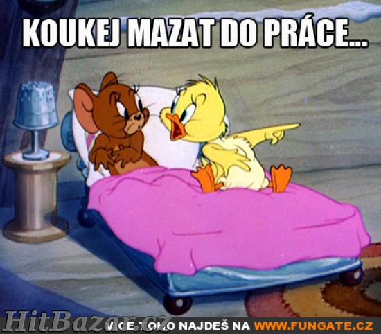 Obsluha vysekávacích a ohýbacích lisů