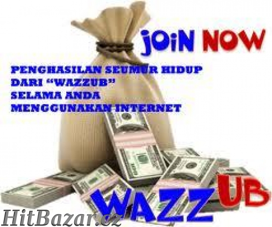 Výdělek bez investice