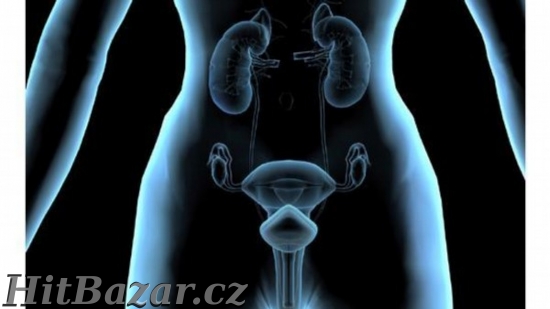 Trápí vás časté záněty močových cest?