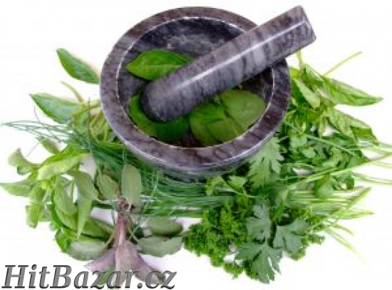 Pěkný PŘIVÝDĚLEK s BYLINKAMi