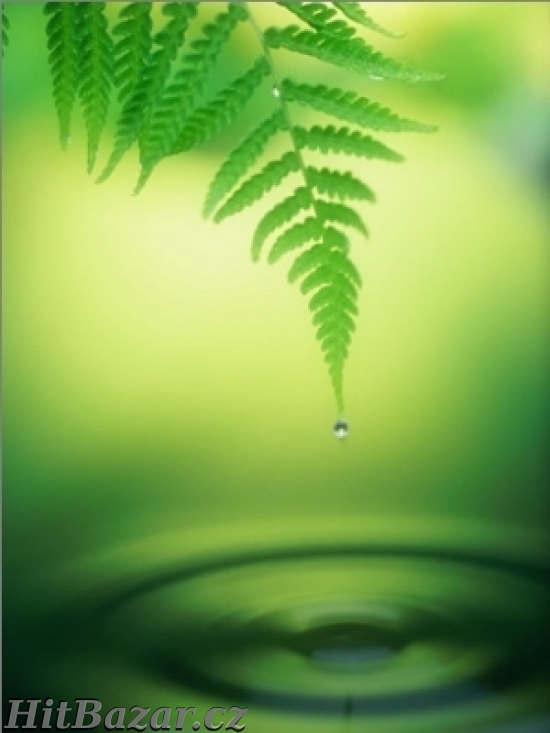 TVŮJ PŘÍRODNÍ PŘIVÝDĚLEK