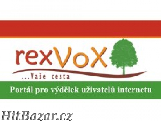 Nový výdělek - práce z domova přes internet