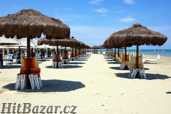 Prijmeme napojove hostesky