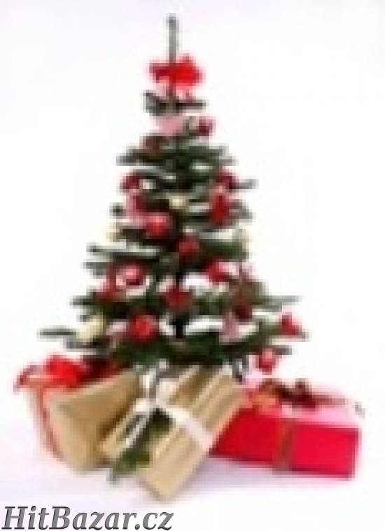 CHCETE SI PŘIVYDĚLAT NA VÁNOČNÍ DÁRKY!!!