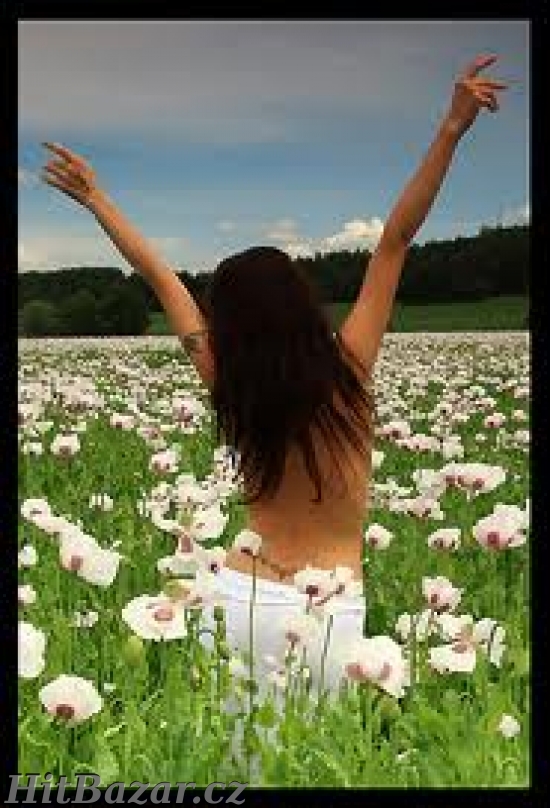 Přivýdělek: CHCEŠ být ÚSPĚŠNÁ / Ý? 