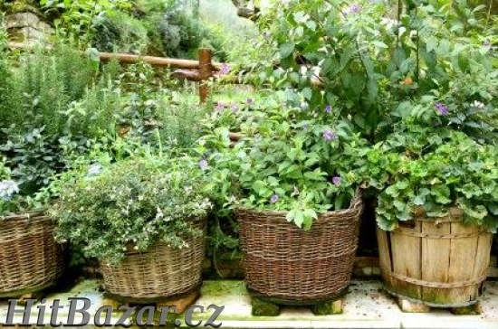 Účinné přírodní produkty